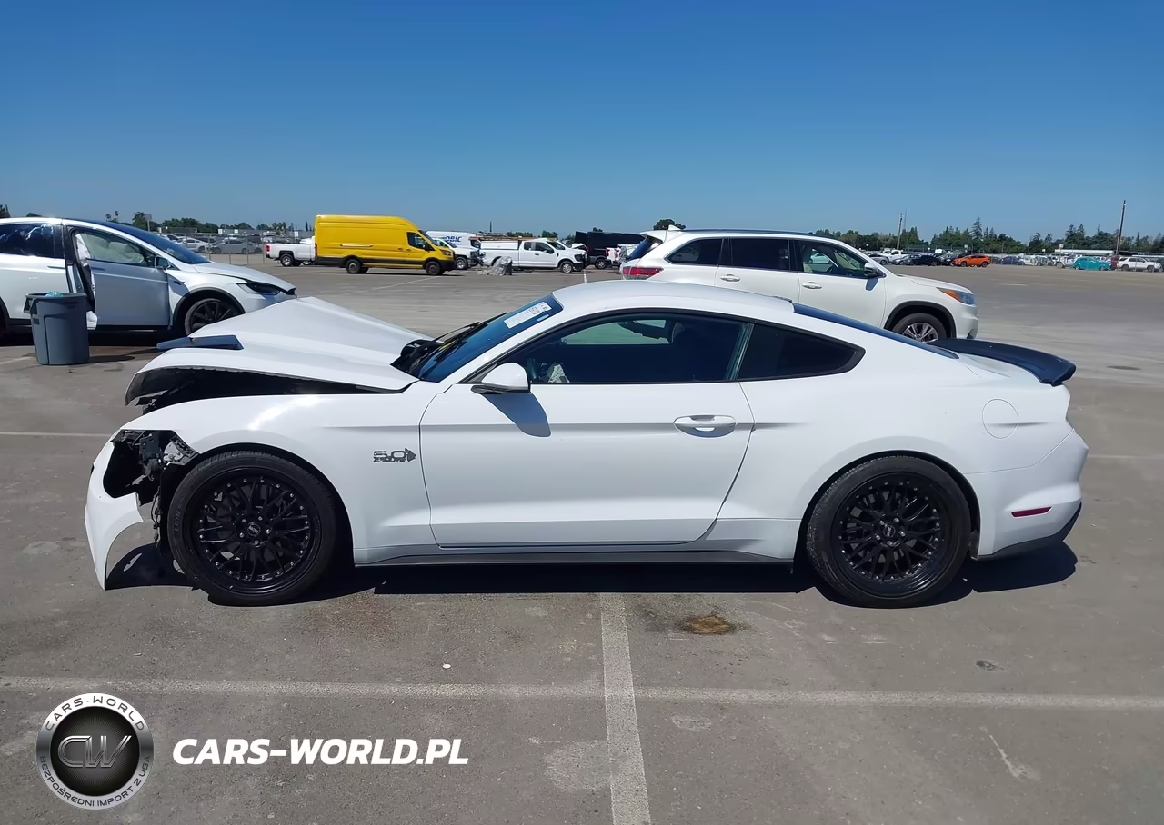 2017 Ford Mustang Gt VIN:1FA6P8CF4H5235624 - 15
