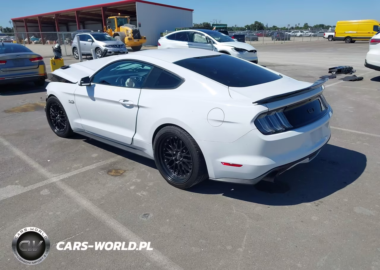 2017 Ford Mustang Gt VIN:1FA6P8CF4H5235624 - 3