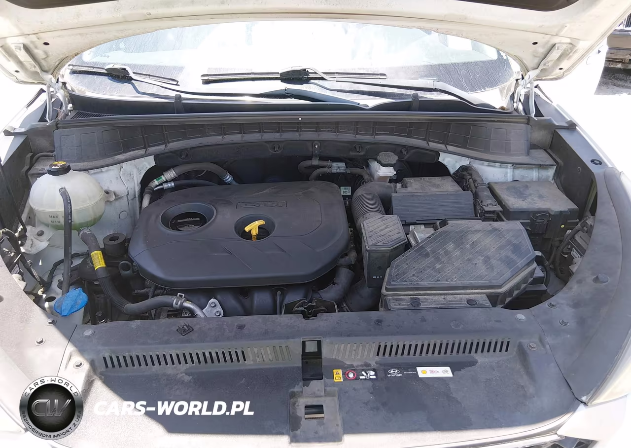 2019 Hyundai Tucson Value VIN:KM8J33A44KU857525 - 10