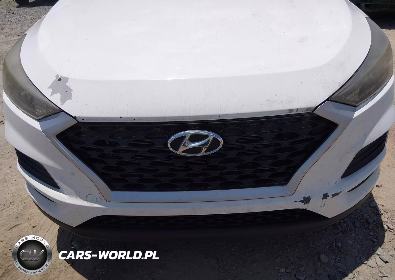 2019 Hyundai Tucson Value VIN:KM8J33A44KU857525 - 6