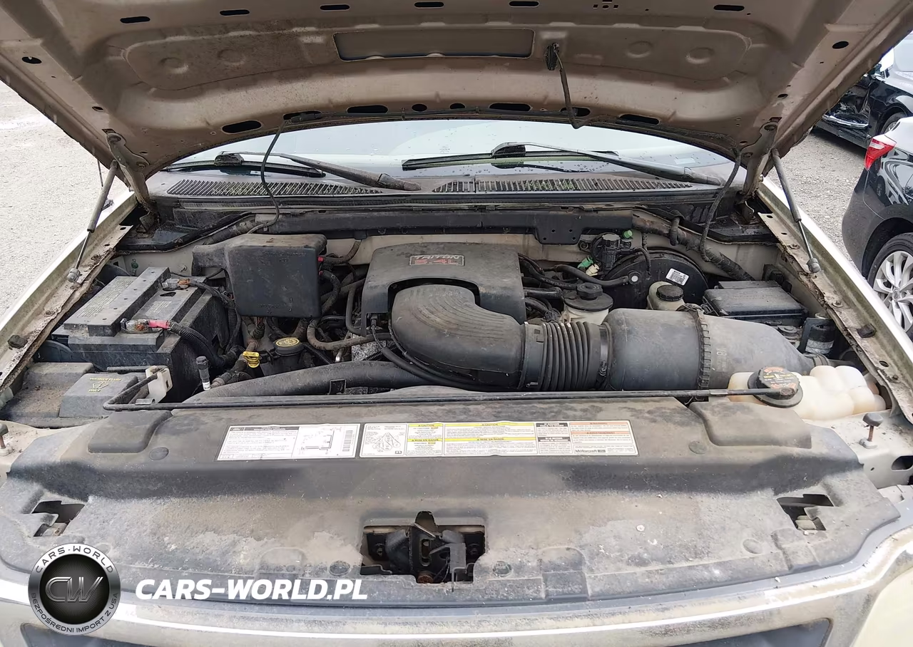 1998 Ford F-150 Lariat-Xl-Xlt VIN:1FTRX17L6WNB24388 - 10