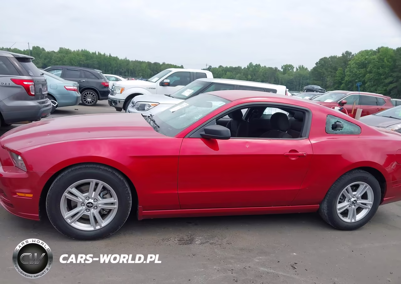 2013 Ford Mustang V6 VIN:1ZVBP8AM5D5274059 - 14