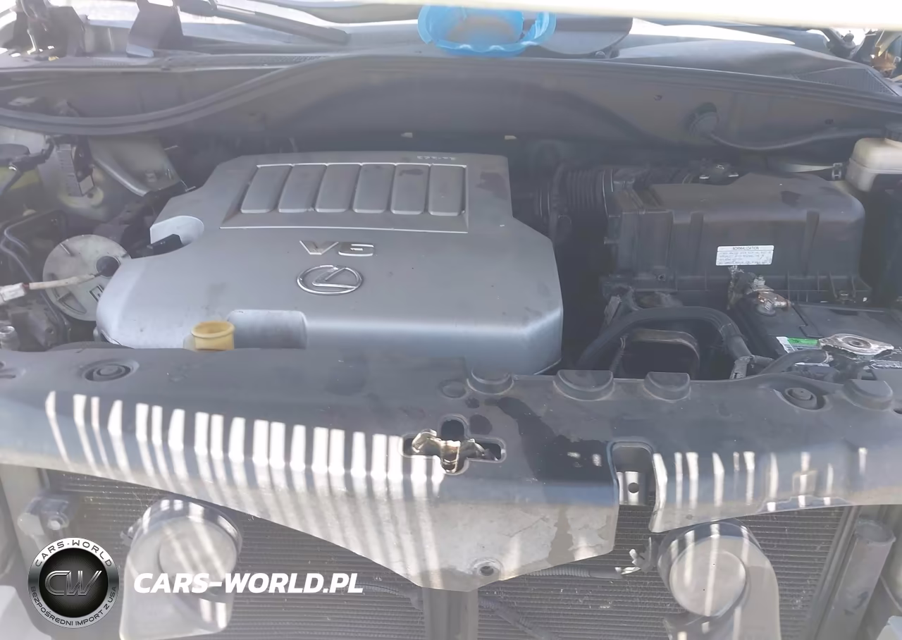 2007 Lexus Rx 350 VIN:2T2HK31U17C044262 - 10