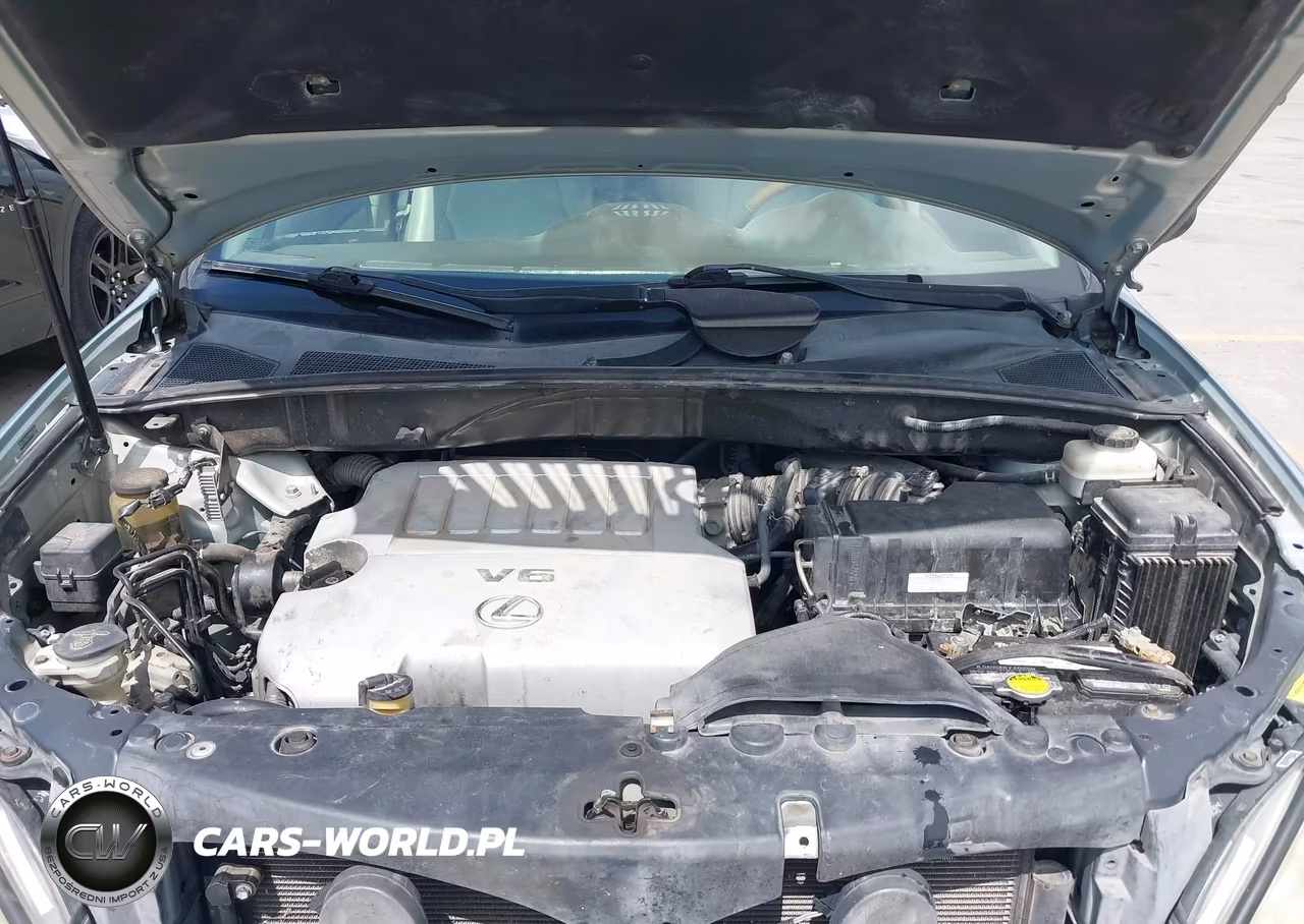 2008 Lexus Rx 350 VIN:2T2GK31U18C047904 - 10