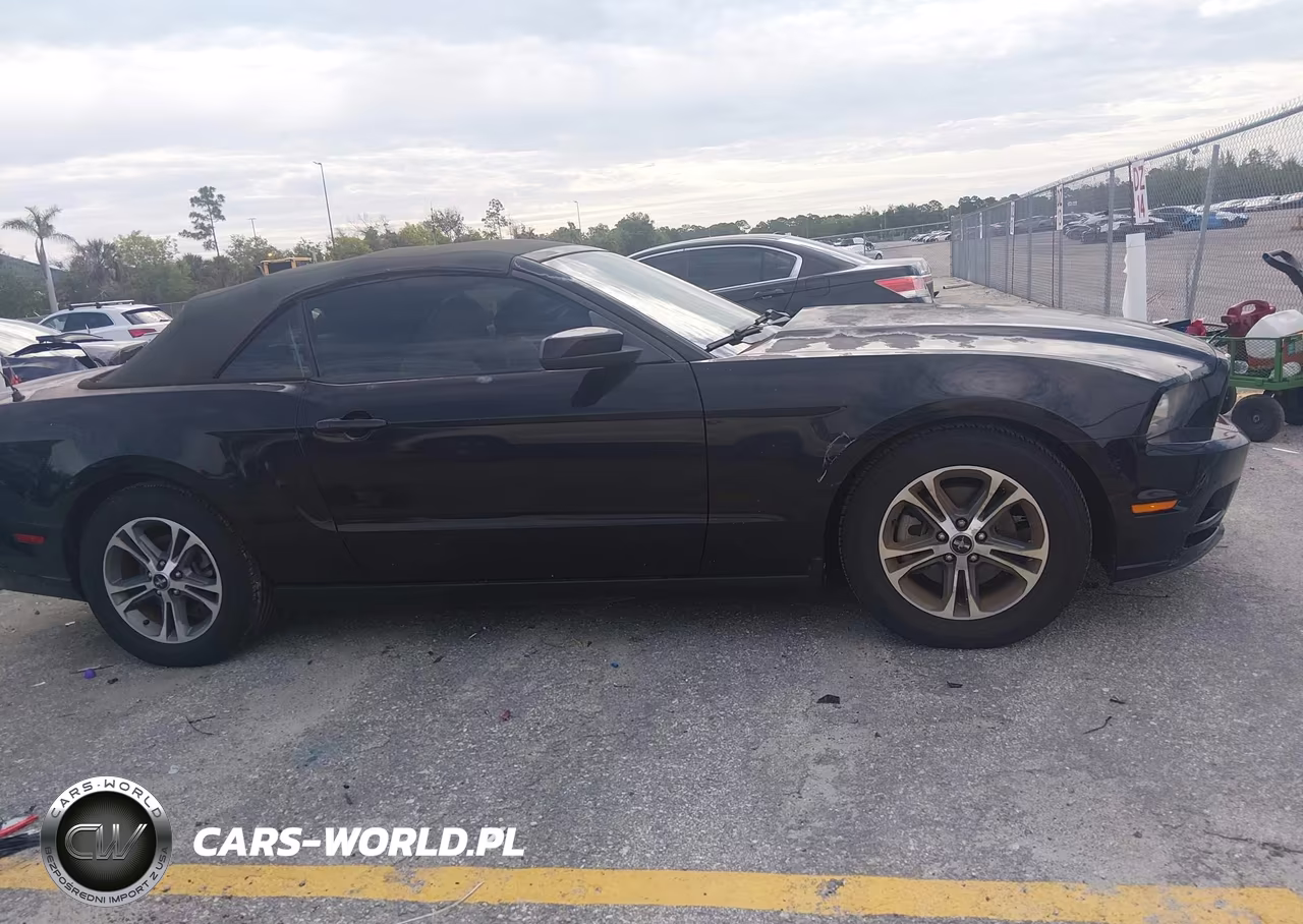 2014 Ford Mustang V6 Premium VIN:1ZVBP8EM0E5275843 - 13