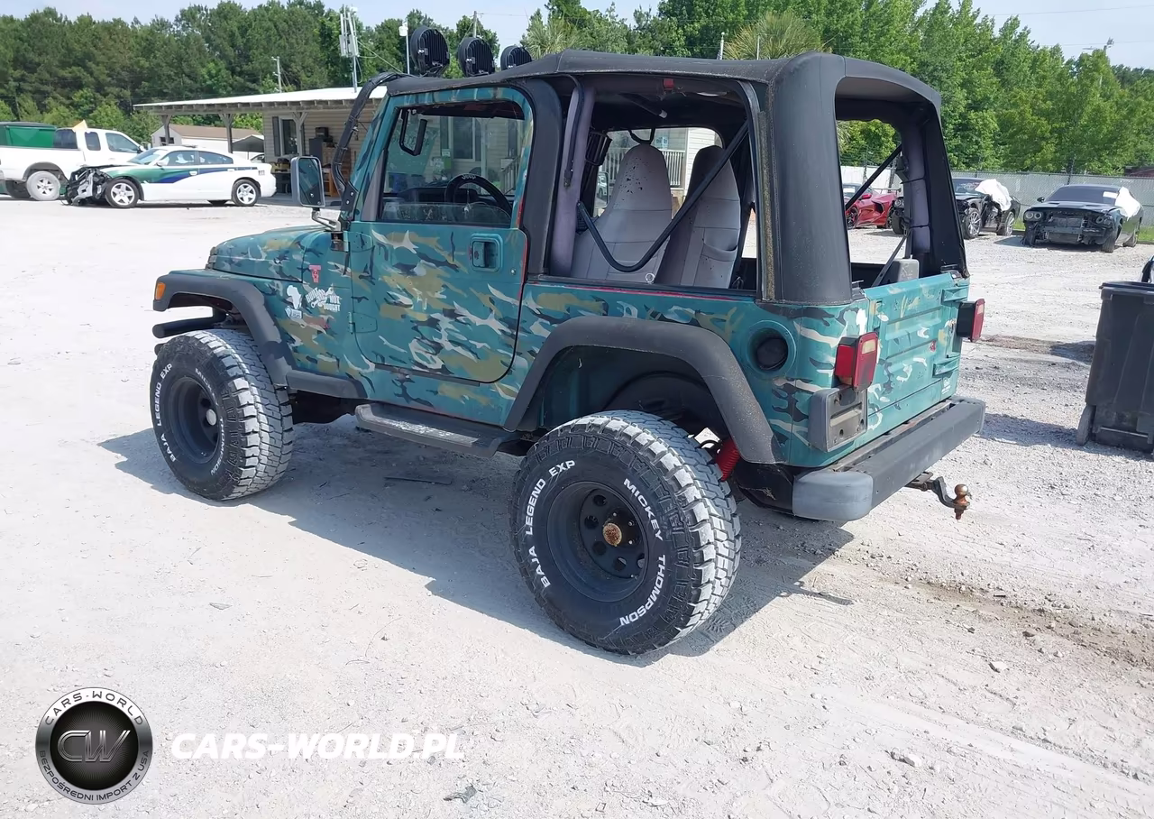 1999 Jeep Wrangler Sport VIN:1J4FY19S8XP408772 - 3