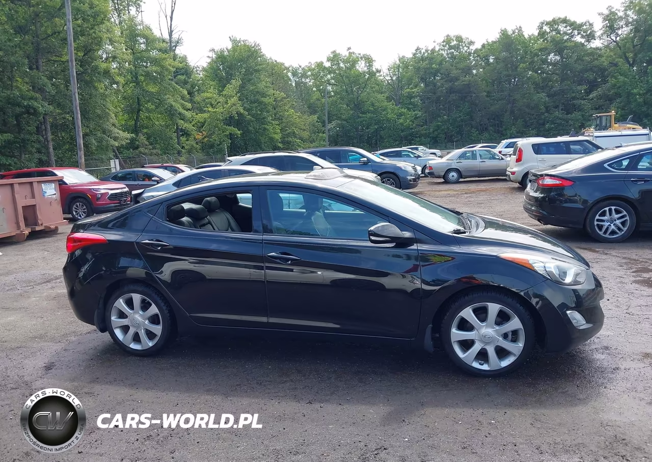 2013 Hyundai Elantra Limited VIN:5NPDH4AE9DH195536 - 13