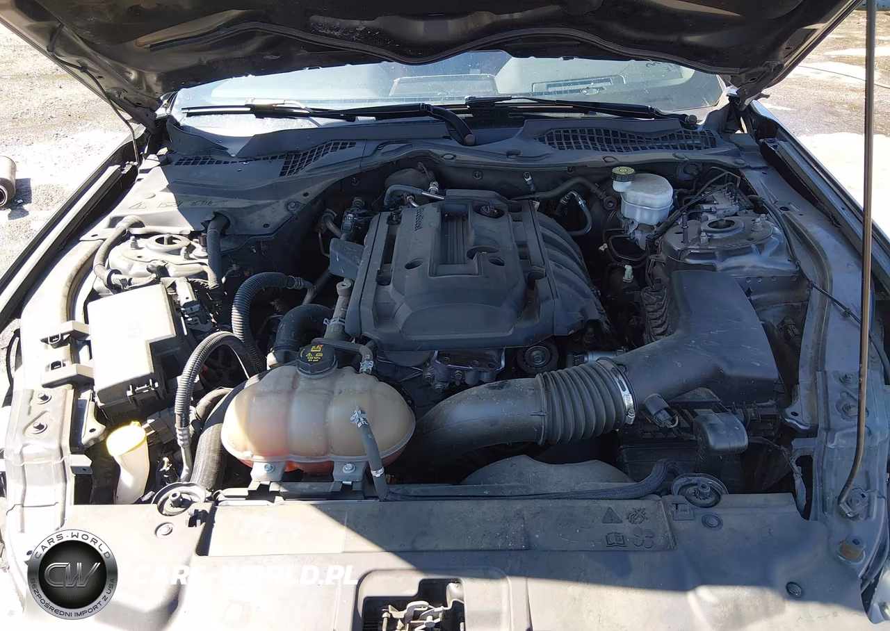 2019 Ford Mustang Ecoboost Premium VIN:1FA6P8TH2K5200105 - 10