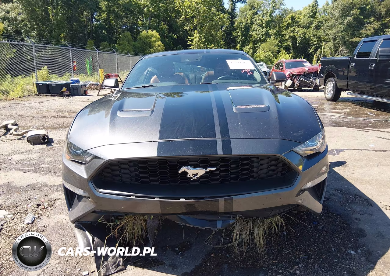 2019 Ford Mustang Ecoboost Premium VIN:1FA6P8TH2K5200105 - 13