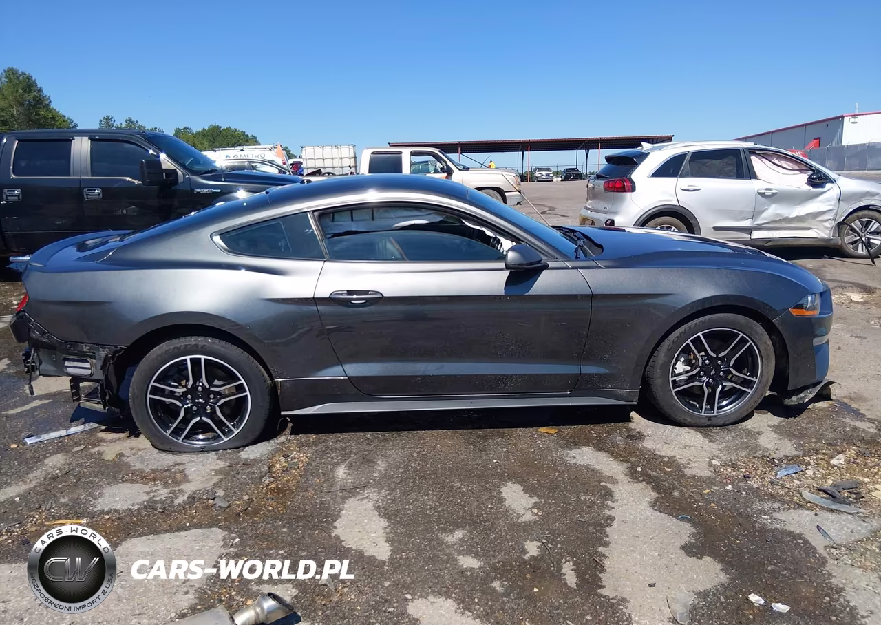 2019 Ford Mustang Ecoboost Premium VIN:1FA6P8TH2K5200105 - 14