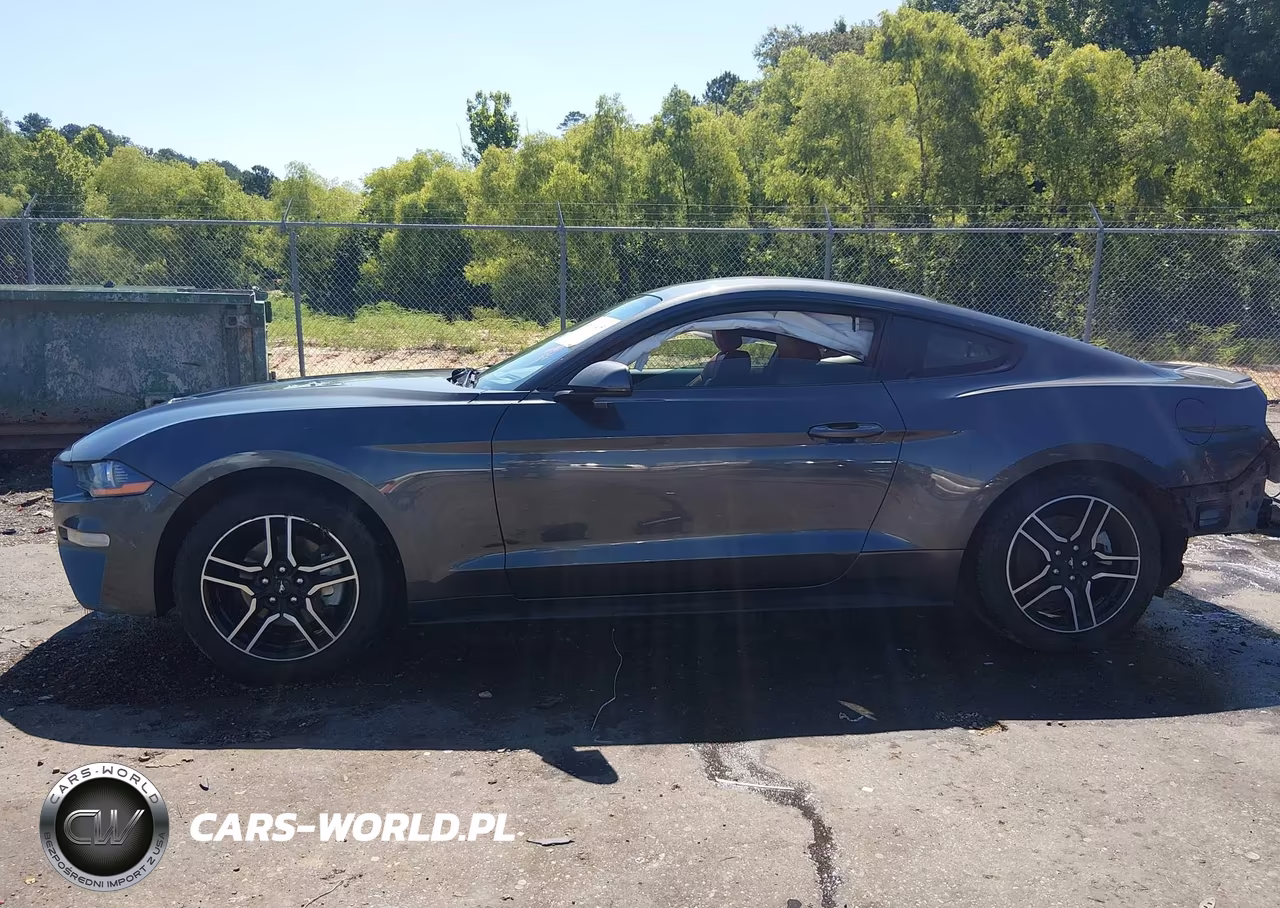 2019 Ford Mustang Ecoboost Premium VIN:1FA6P8TH2K5200105 - 15