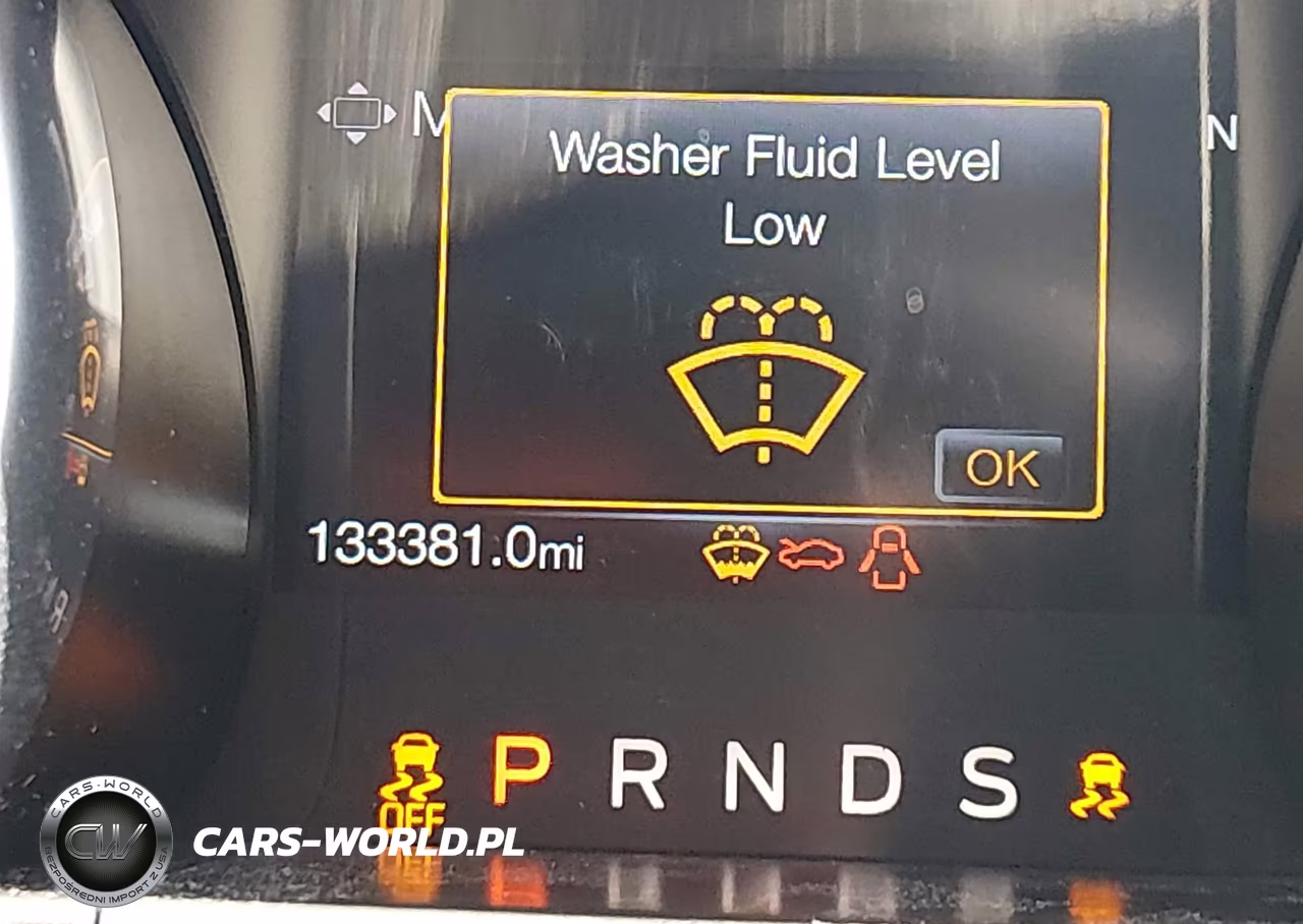 2019 Ford Mustang Ecoboost Premium VIN:1FA6P8TH2K5200105 - 16