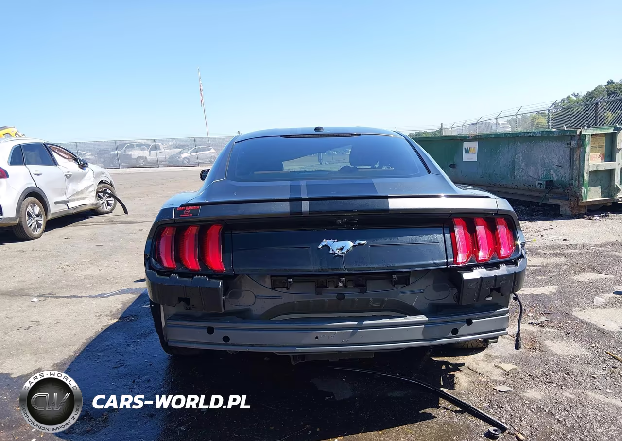 2019 Ford Mustang Ecoboost Premium VIN:1FA6P8TH2K5200105 - 17