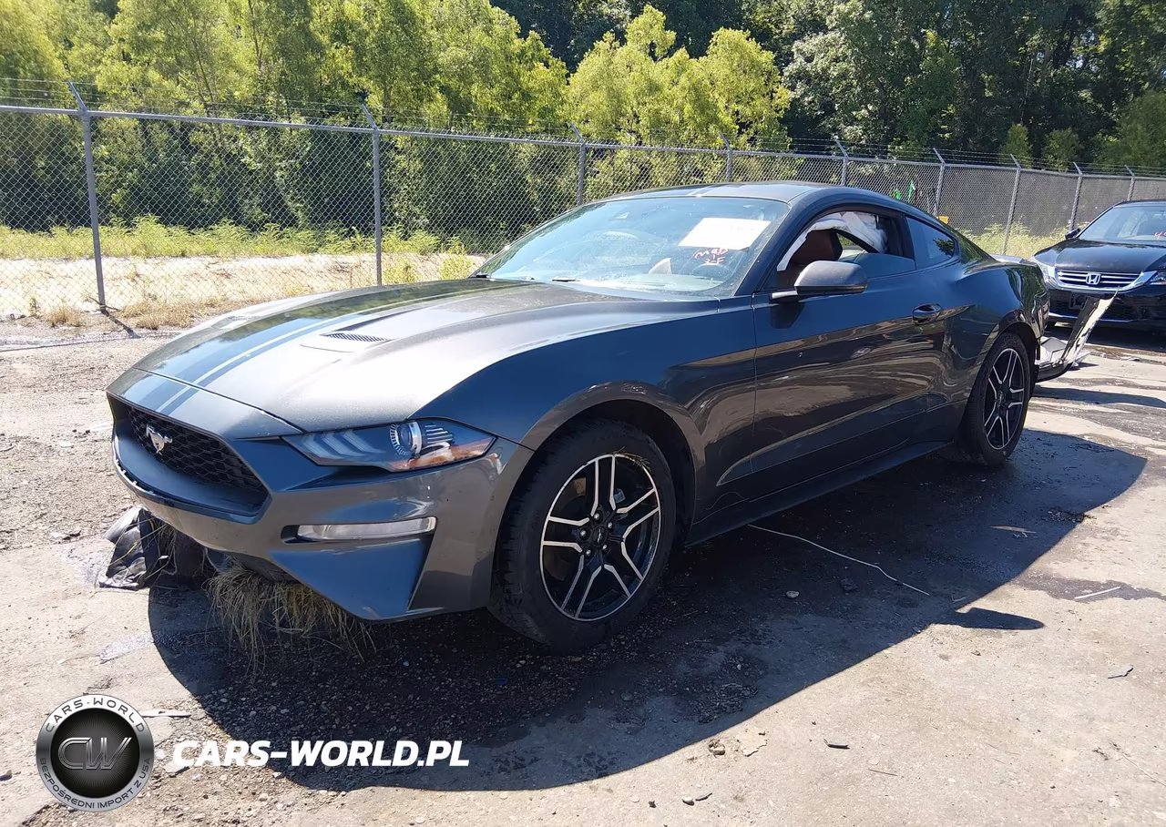 2019 Ford Mustang Ecoboost Premium VIN:1FA6P8TH2K5200105 - 2