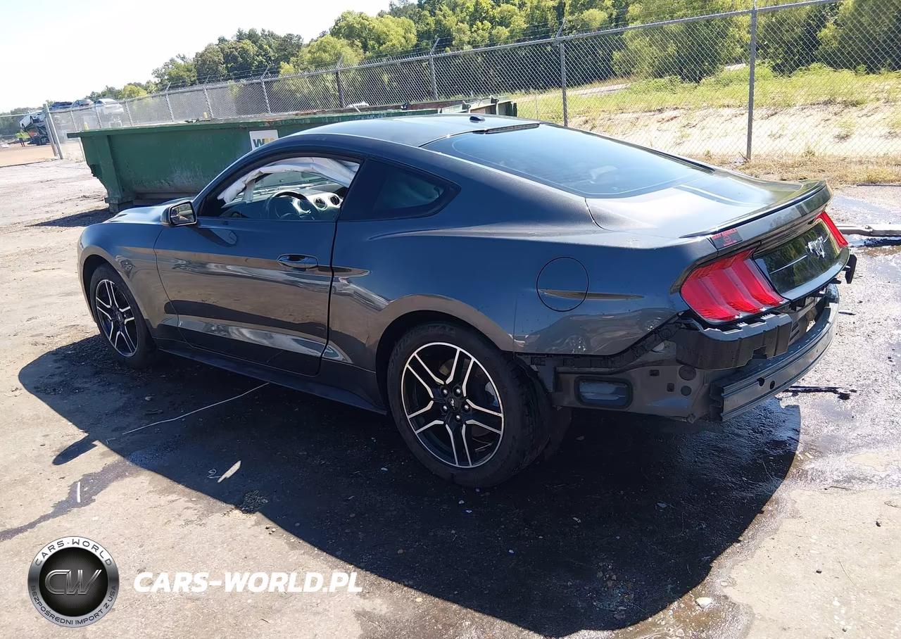 2019 Ford Mustang Ecoboost Premium VIN:1FA6P8TH2K5200105 - 3