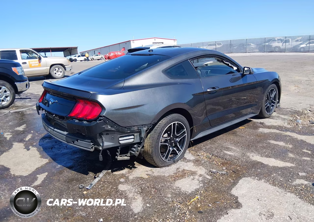 2019 Ford Mustang Ecoboost Premium VIN:1FA6P8TH2K5200105 - 4