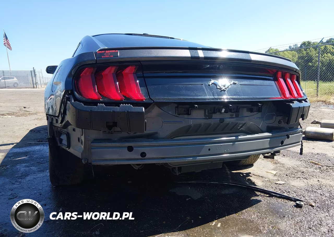 2019 Ford Mustang Ecoboost Premium VIN:1FA6P8TH2K5200105 - 6