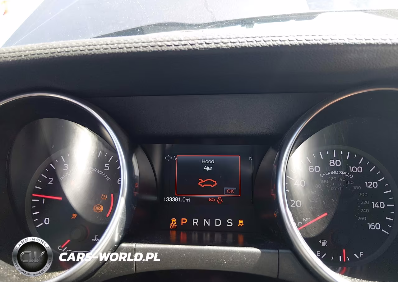 2019 Ford Mustang Ecoboost Premium VIN:1FA6P8TH2K5200105 - 7