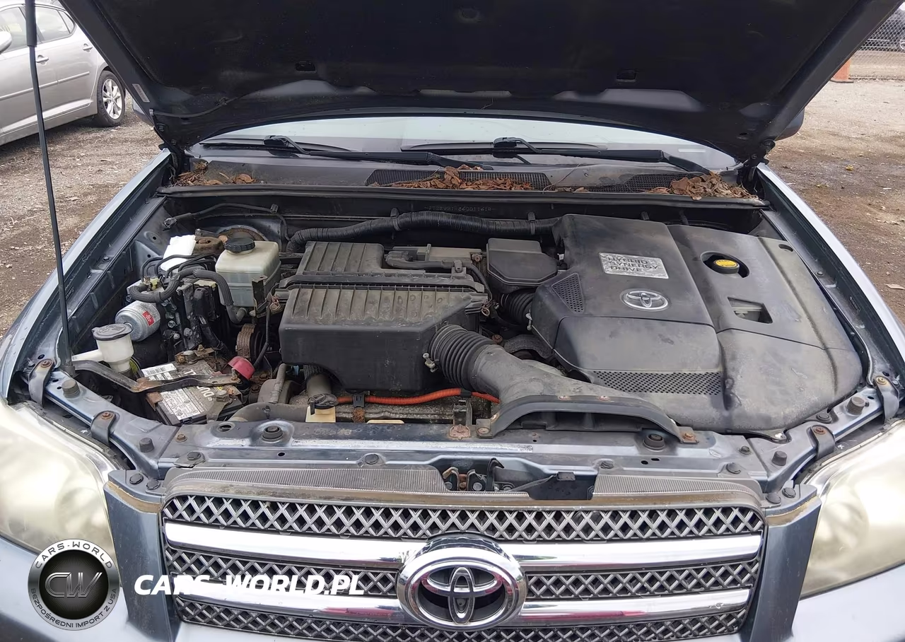 2006 Toyota Highlander Hybrid V6 VIN:JTEEW21A860011615 - 10