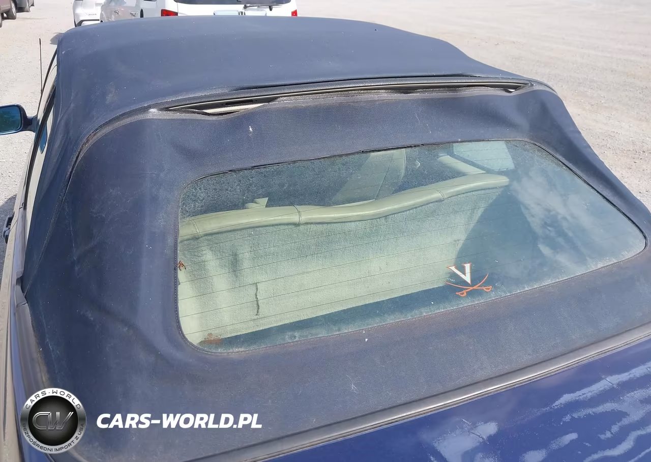 2002 Volkswagen Cabrio Glx VIN:3VWDC21V62M808834 - 12