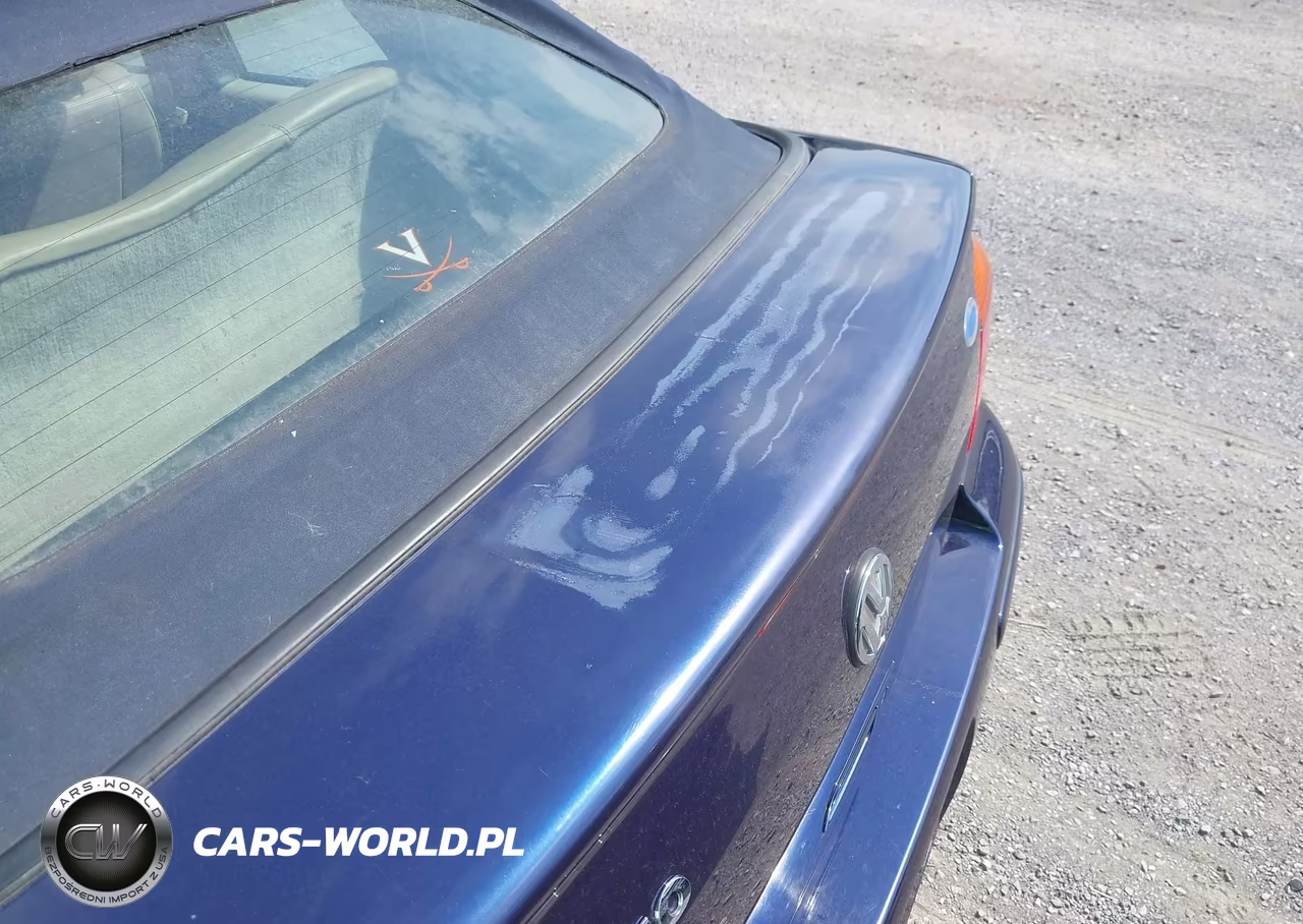 2002 Volkswagen Cabrio Glx VIN:3VWDC21V62M808834 - 13