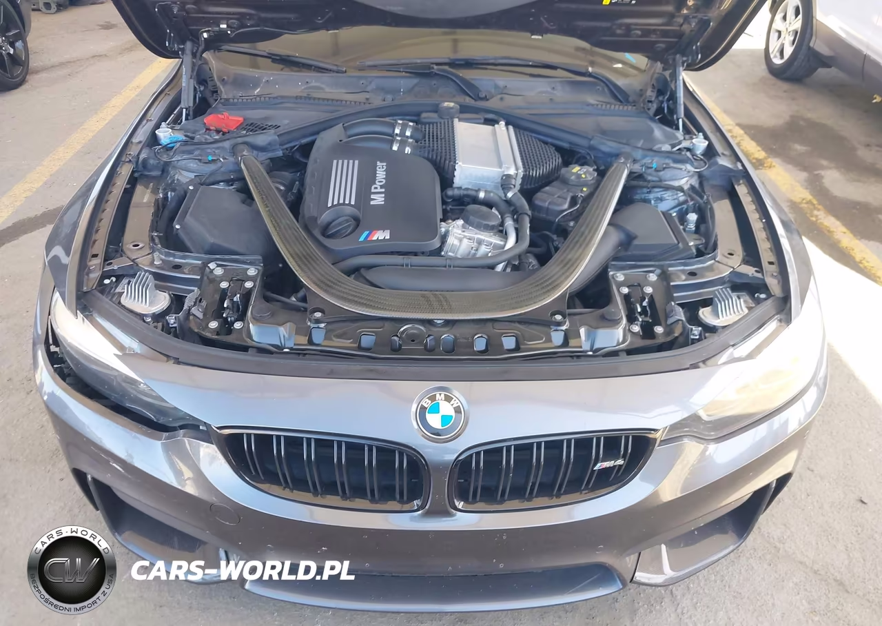 2018 BMW M4 VIN:WBS4Y9C57JAG62929 - 10