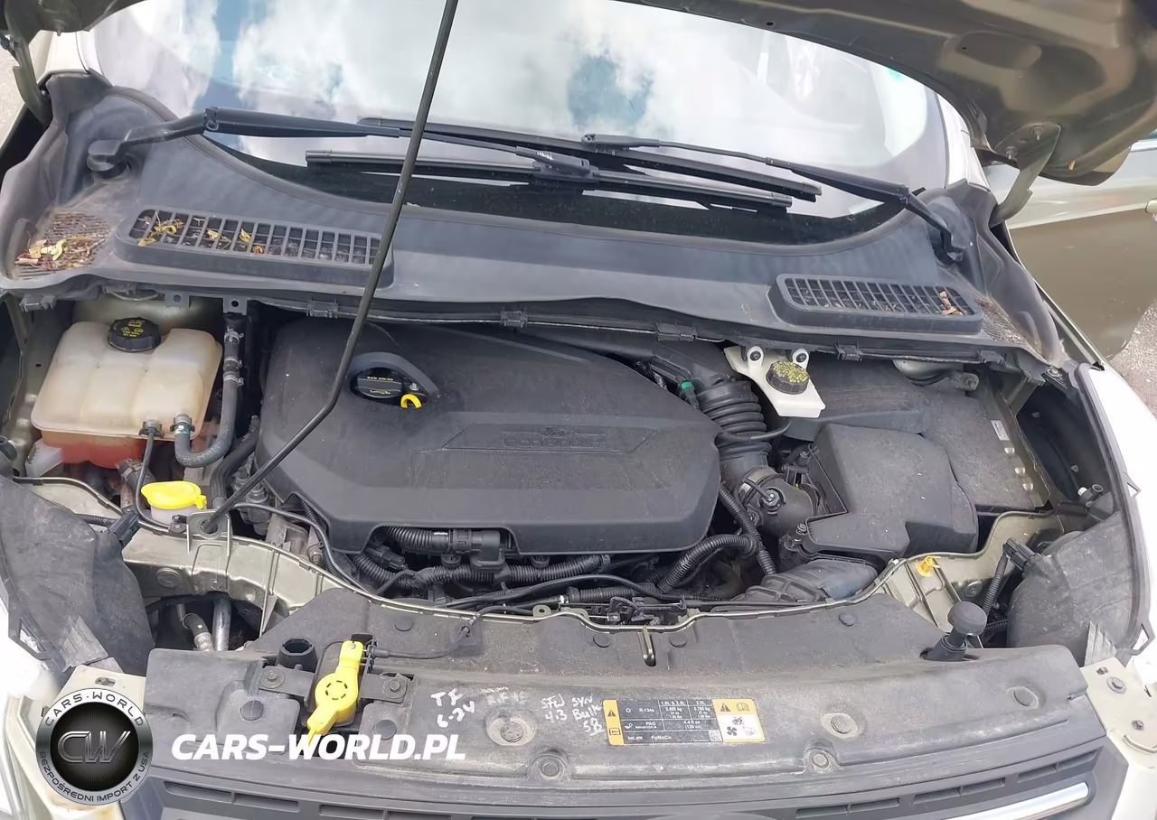 2014 Ford Escape Se VIN:1FMCU9GX4EUB35311 - 10