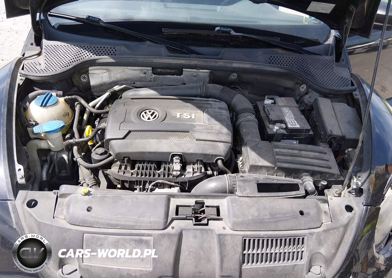 2014 Volkswagen Beetle 1.8T Entry VIN:3VWF17AT3EM640097 - 10