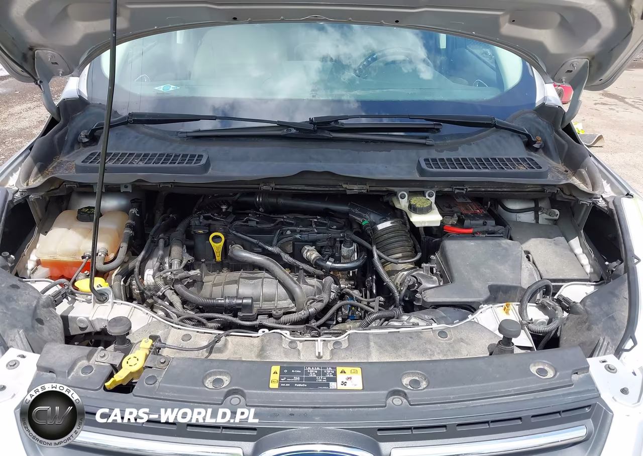 2014 Ford Escape Se VIN:1FMCU9GXXEUB17198 - 10