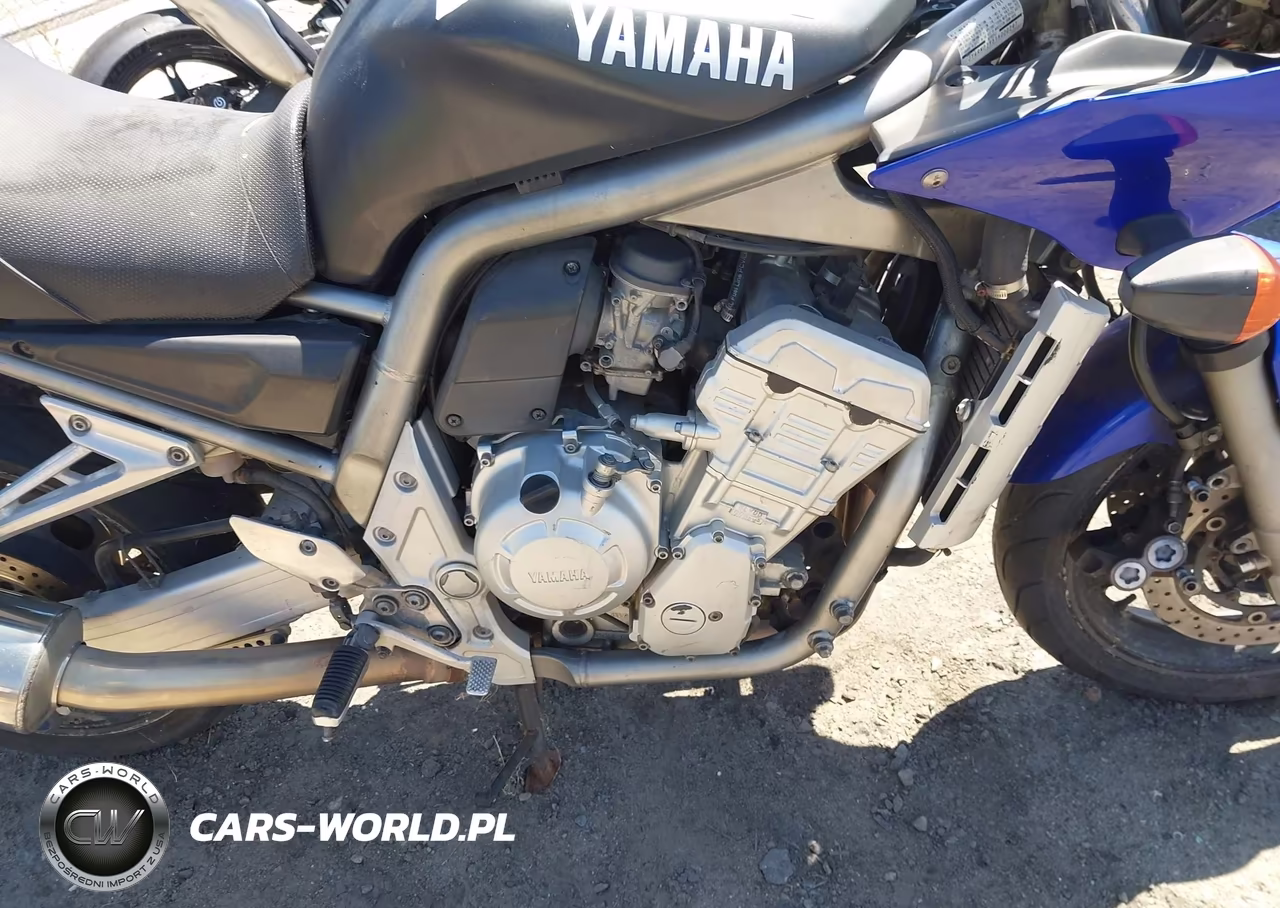 2001 Yamaha Fzs10 VIN:JYARN07Y51A000247 - 8