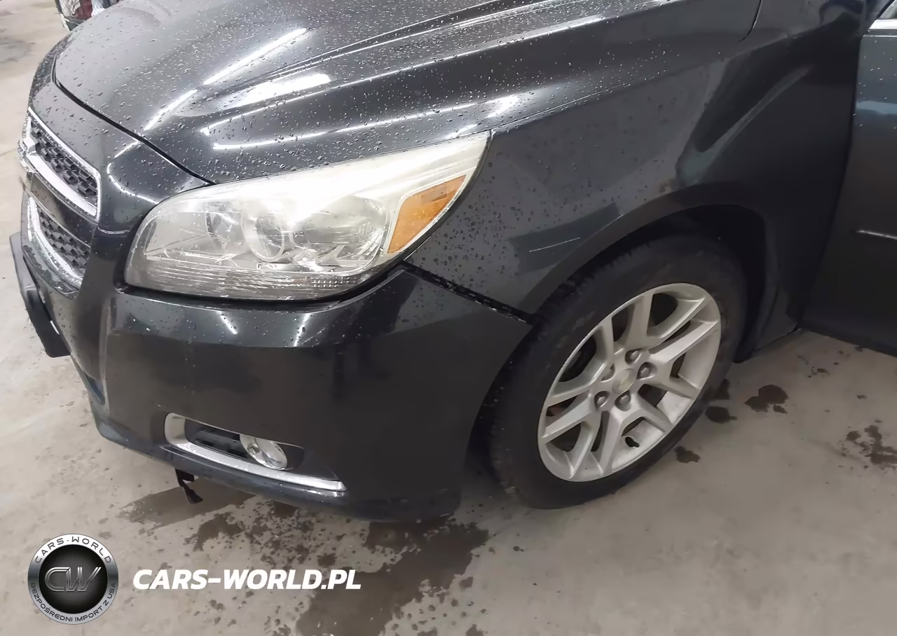 2013 Chevrolet Malibu Eco Premium Audio VIN:1G11F5SR9DF168758 - 12