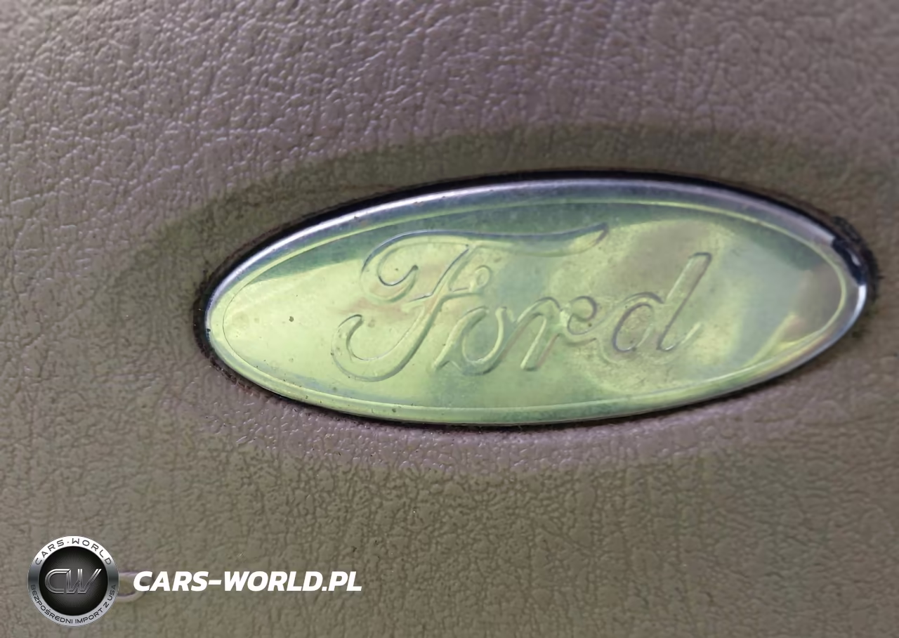 2004 Ford Expedition Eddie Bauer VIN:1FMFU17L14LB89732 - 12
