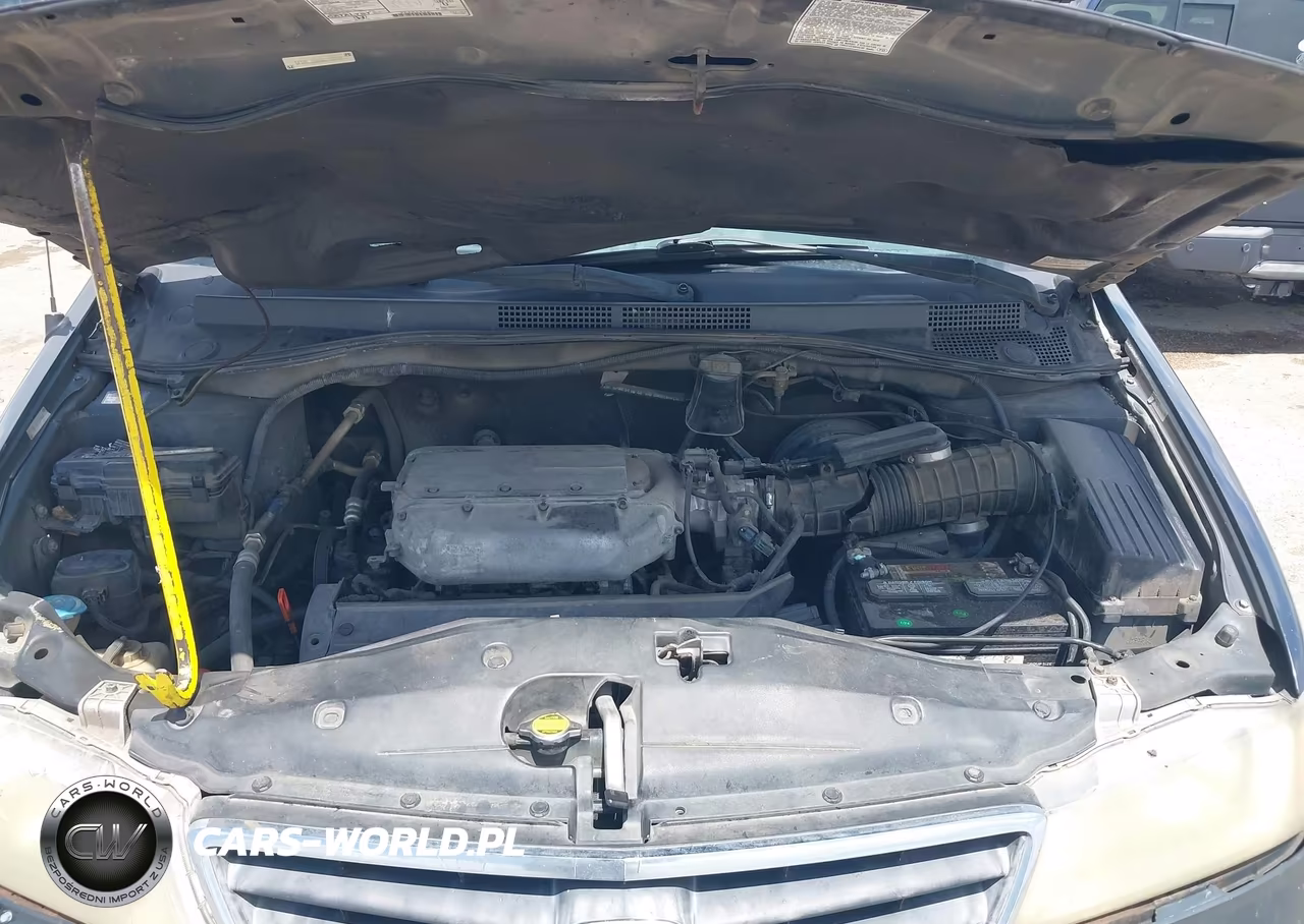 2004 Honda Odyssey Ex VIN:5FNRL18664B008916 - 10