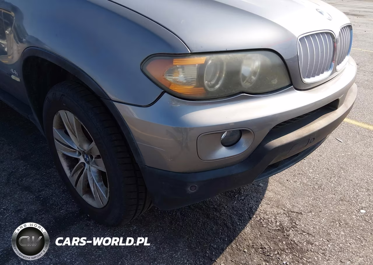 2004 BMW X5 4.4I VIN:5UXFB53504LV09839 - 6