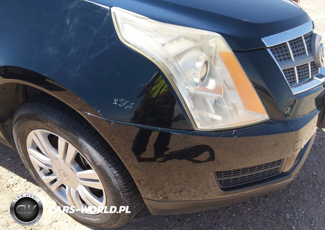2010 Cadillac Srx Luxury Collection VIN:3GYFNAEY0AS510336 - 6