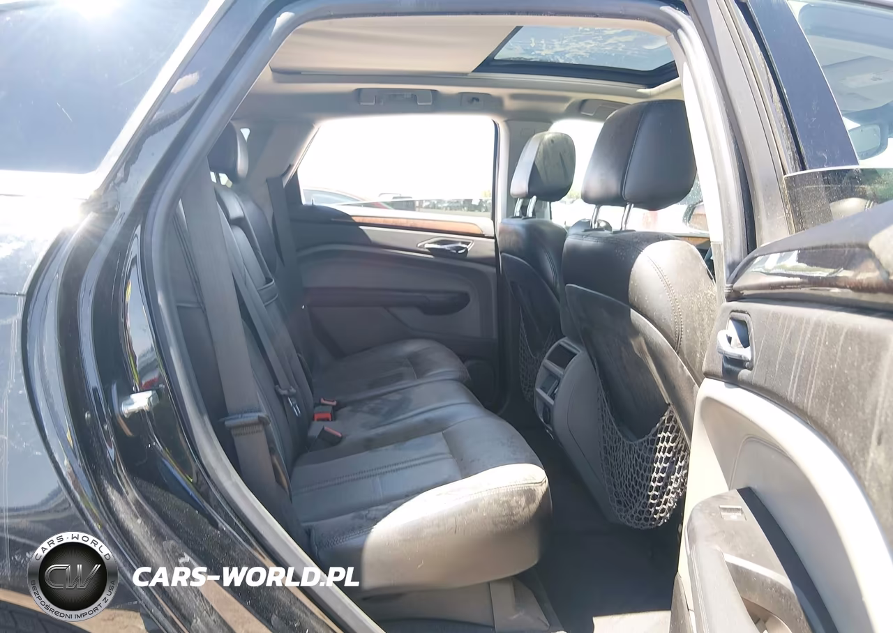 2010 Cadillac Srx Luxury Collection VIN:3GYFNAEY0AS510336 - 8