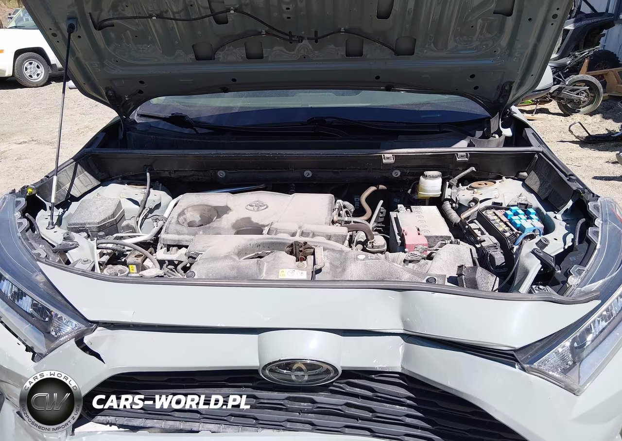 2019 Toyota Rav4 Xle VIN:JTMP1RFV5KD033672 - 10