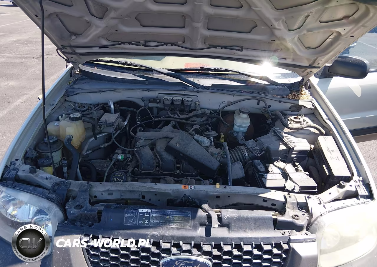 2005 Ford Escape Xlt VIN:1FMYU93165KC10044 - 10