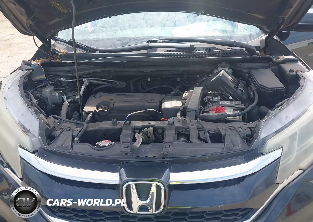 2016 Honda Cr-V Lx VIN:2HKRM4H31GH636196 - 10
