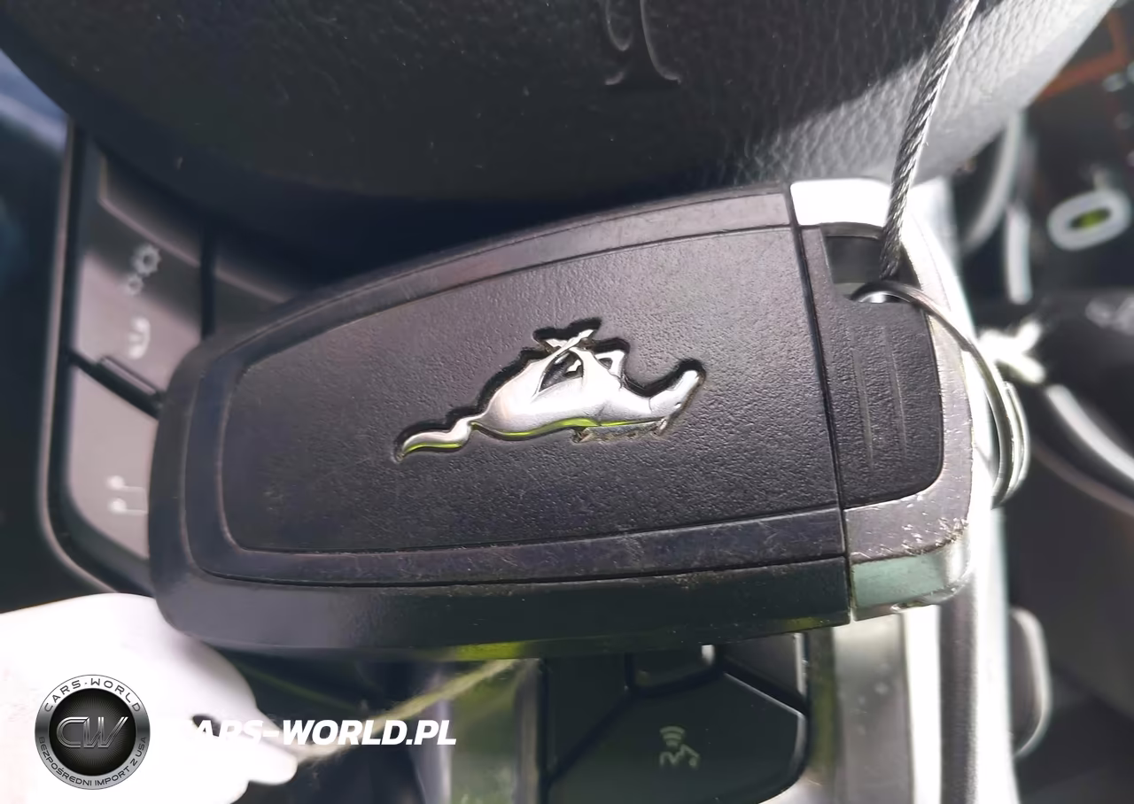2019 Ford Mustang Gt Premium VIN:1FA6P8CF6K5134057 - 11