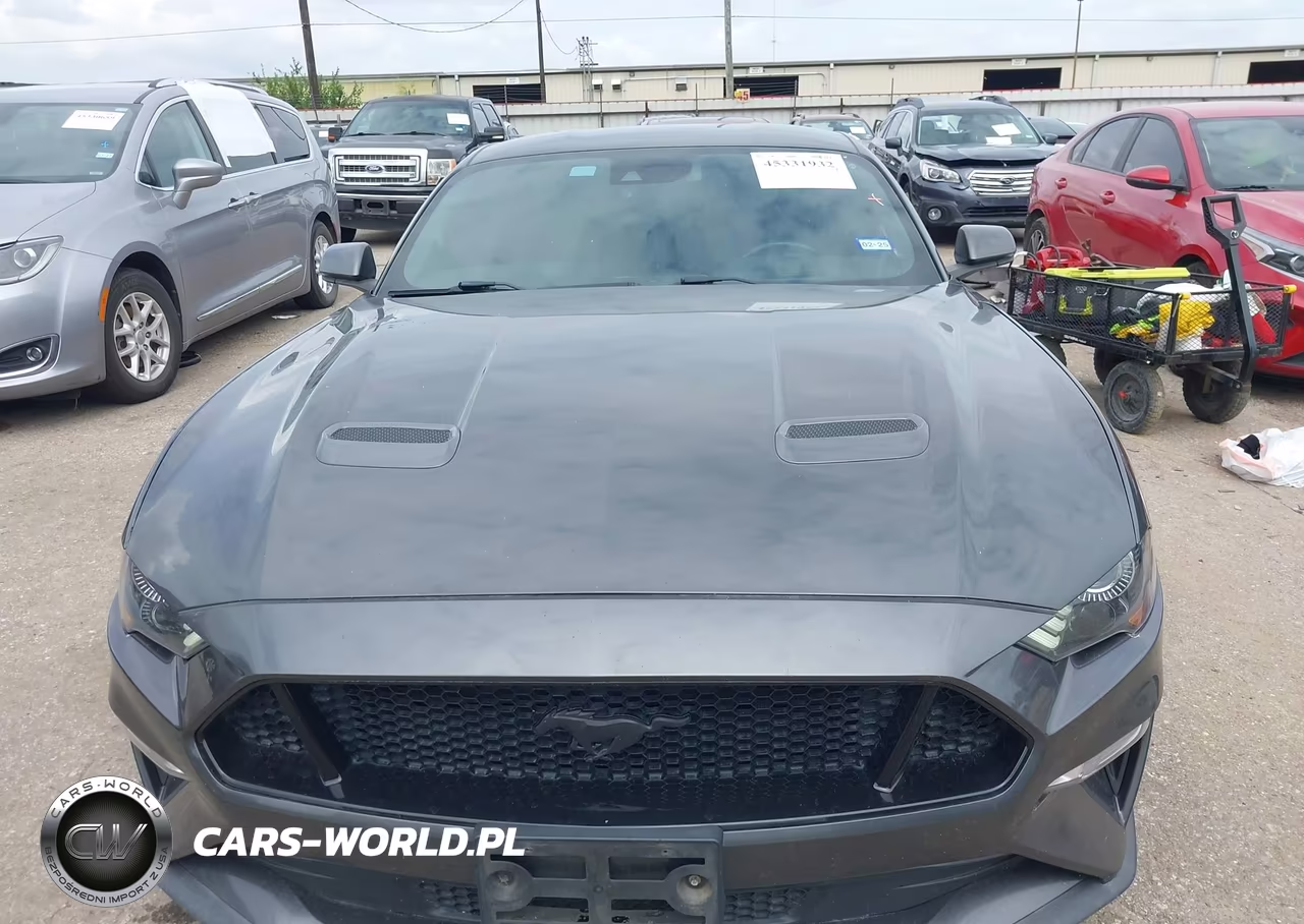 2019 Ford Mustang Gt Premium VIN:1FA6P8CF6K5134057 - 12