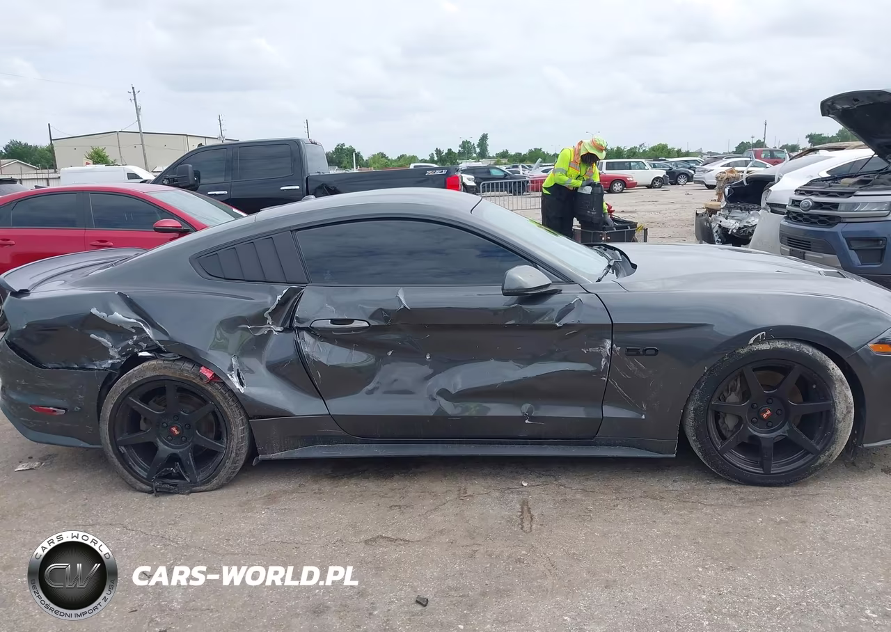 2019 Ford Mustang Gt Premium VIN:1FA6P8CF6K5134057 - 13