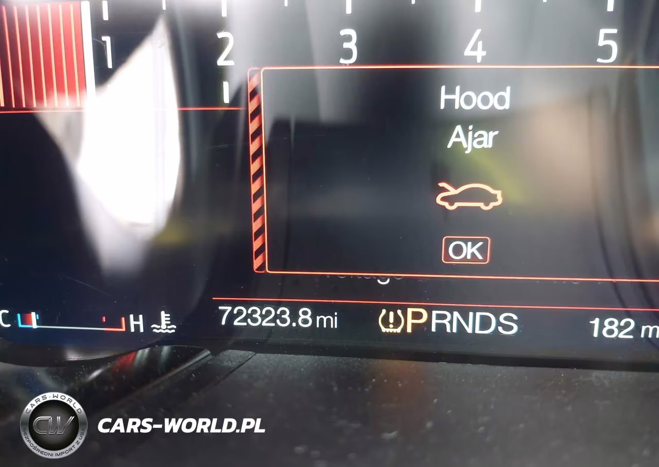2019 Ford Mustang Gt Premium VIN:1FA6P8CF6K5134057 - 15