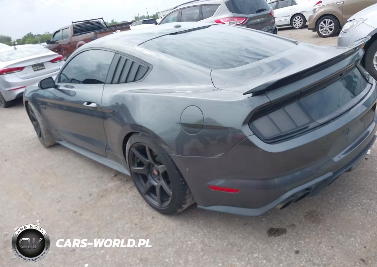2019 Ford Mustang Gt Premium VIN:1FA6P8CF6K5134057 - 3