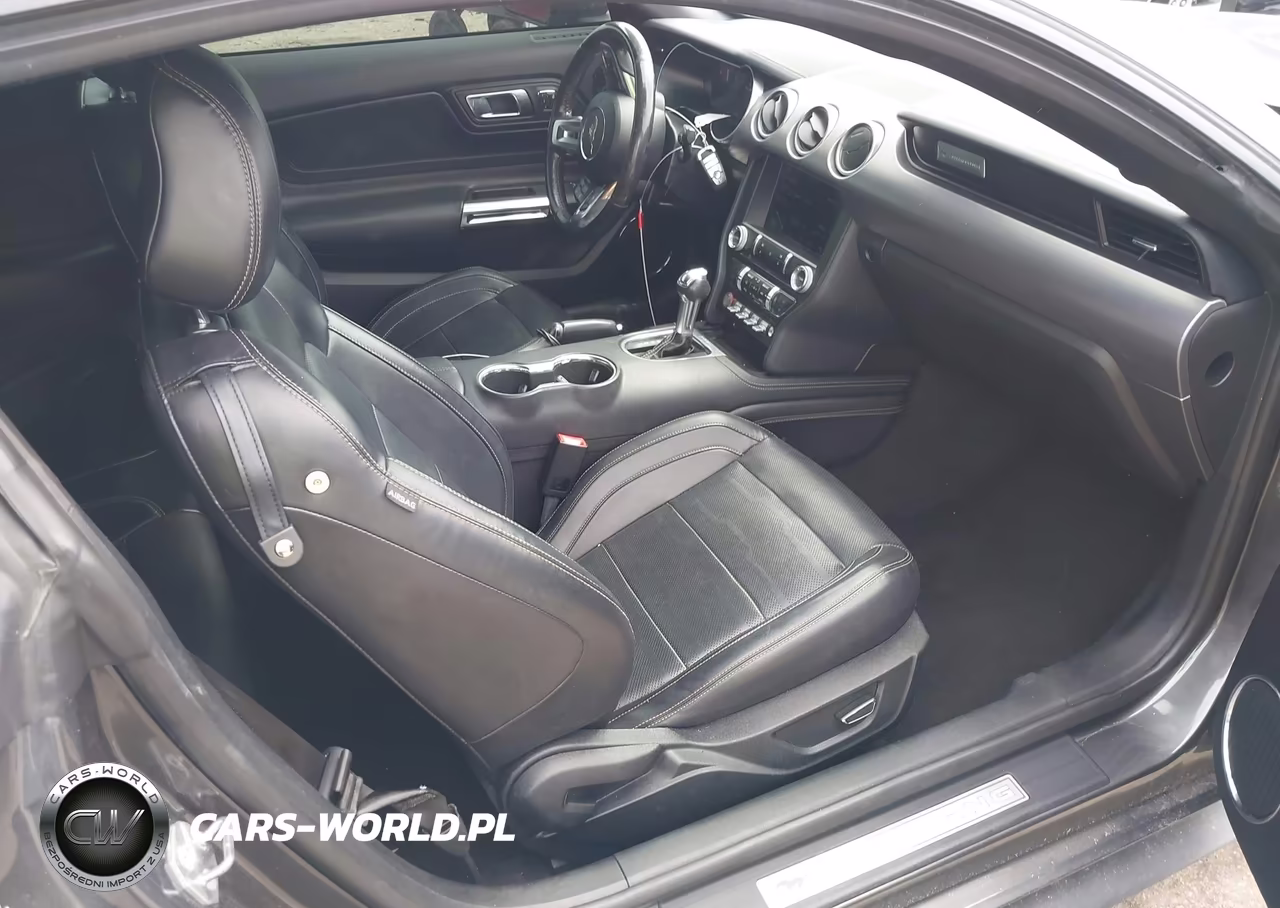 2019 Ford Mustang Gt Premium VIN:1FA6P8CF6K5134057 - 5