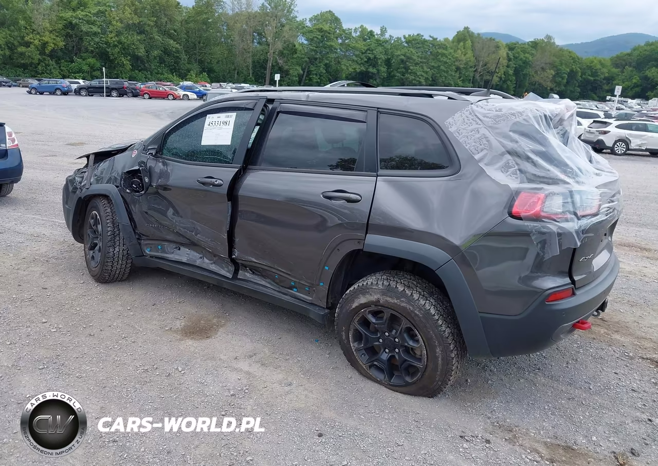 2021 Jeep Cherokee Trailhawk 4X4 VIN:1C4PJMBX9MD175732 - 3