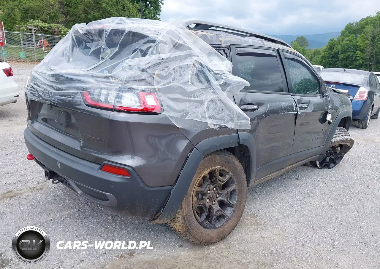 2021 Jeep Cherokee Trailhawk 4X4 VIN:1C4PJMBX9MD175732 - 4
