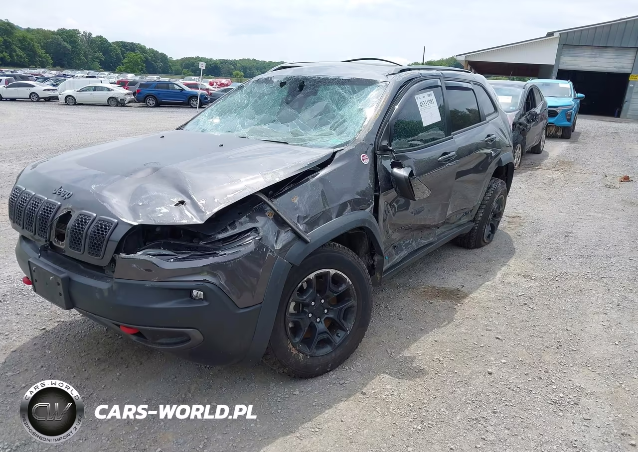 2021 Jeep Cherokee Trailhawk 4X4 VIN:1C4PJMBX9MD175732 - 6
