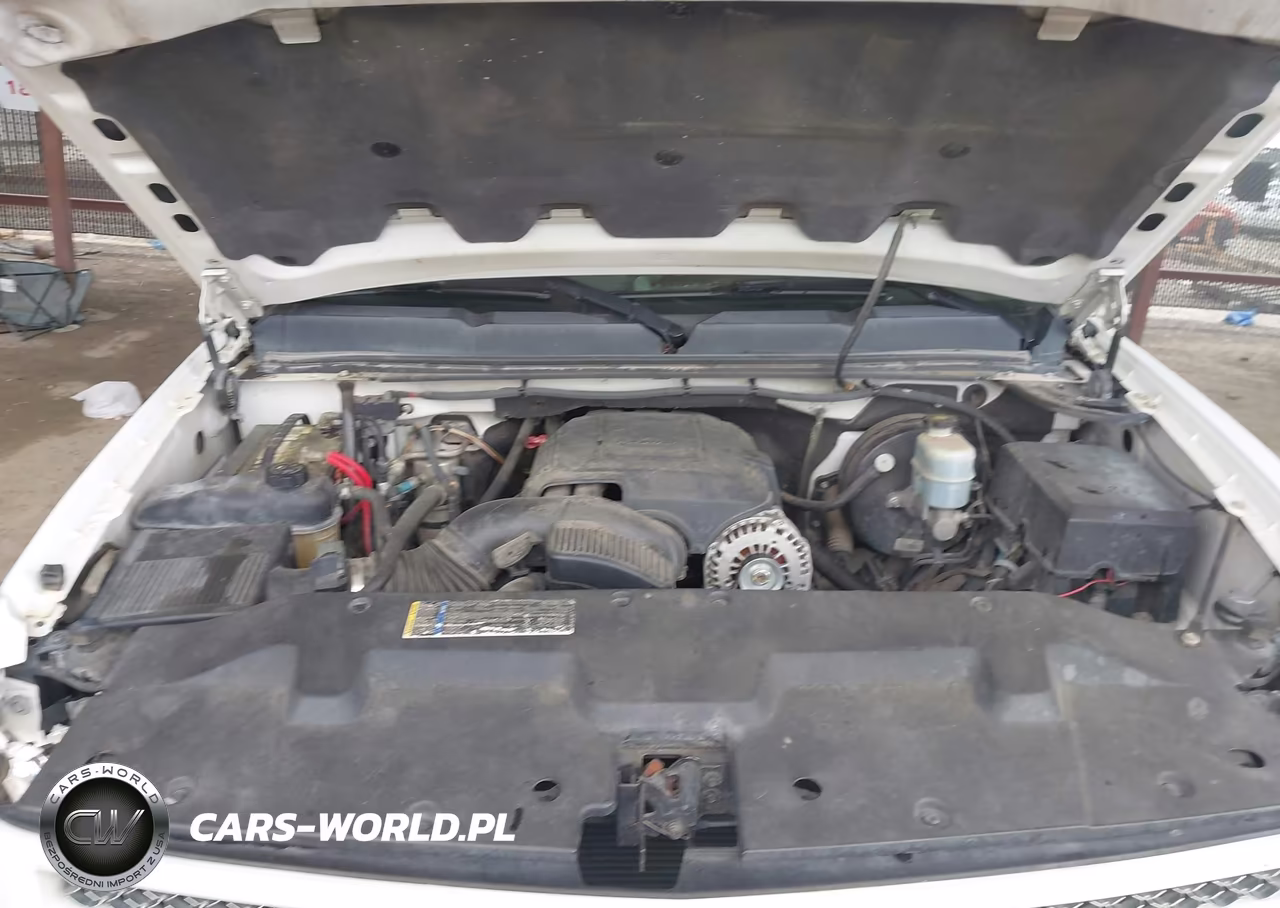 2009 Chevrolet Silverado 1500 Lt VIN:1GCEK29009Z253486 - 10