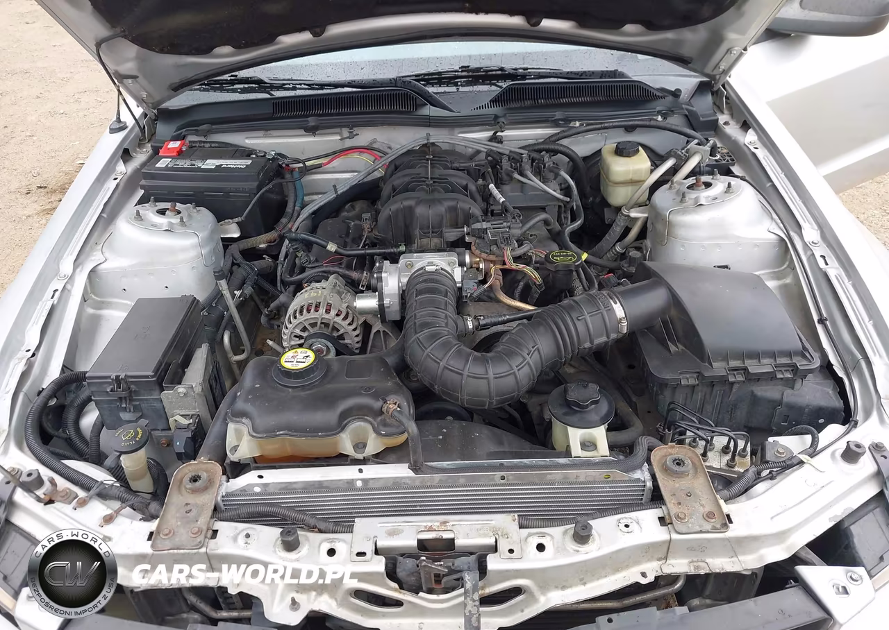 2008 Ford Mustang V6 Deluxe-V6 Premium VIN:1ZVHT80N385208339 - 10
